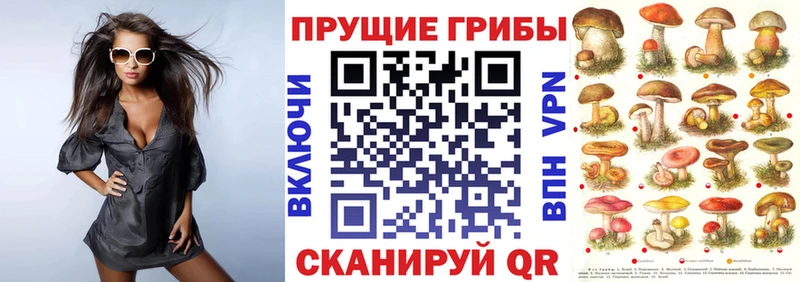 Галлюциногенные грибы прущие грибы  Купить где  Харовск 